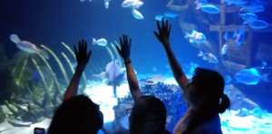 Young students visit sea life aquarium
