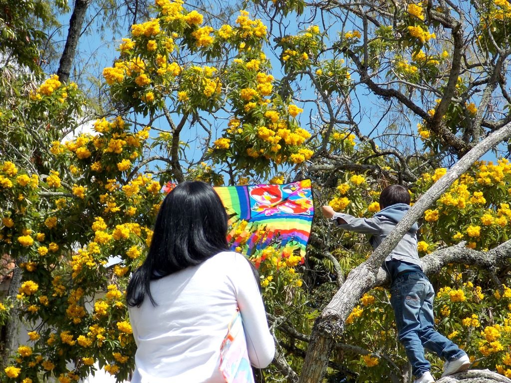 Safe and secure spaces for our children