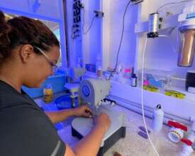 Preparation of coral microfragments