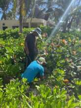 Identifying a sea turtle nest at Punta Cana