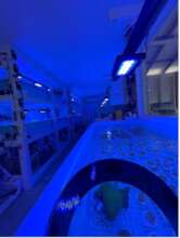 Center for Marine Innovation Wet Lab