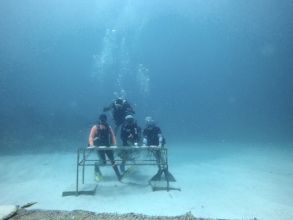 Coral Gardeners in action