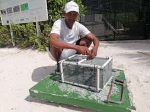 Local Coral Gardener