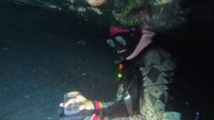 Heading to the lab with the coral gametes