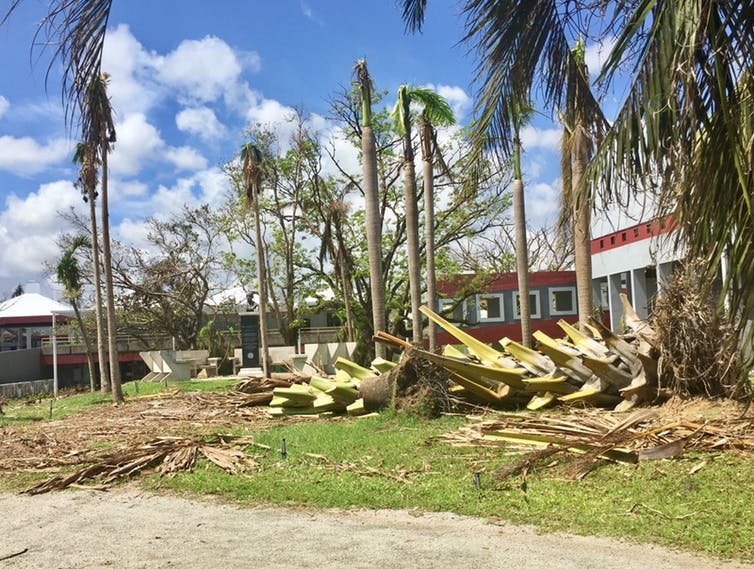 Beyond Relief: Bring the Ideas Box to Puerto Rico!
