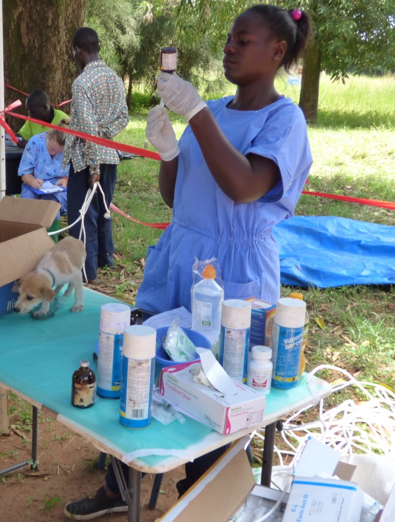 Help Northern Uganda's Dogs