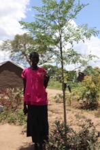 A refugee participant with a moringa seedling
