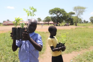 Kids in the camp receiving seedlings
