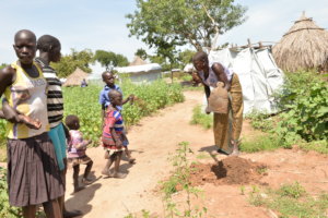 Planting seedlings in the refugee settlement