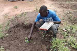 A refugee EPC checking on a moringa seedling
