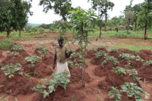 Refugee in their garden, with trees