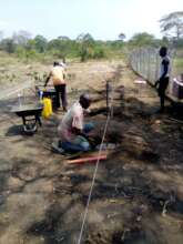 Tree Nursery