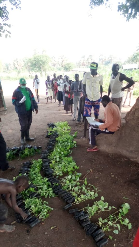 Plant 50,000 Native Trees for Refugees in Uganda