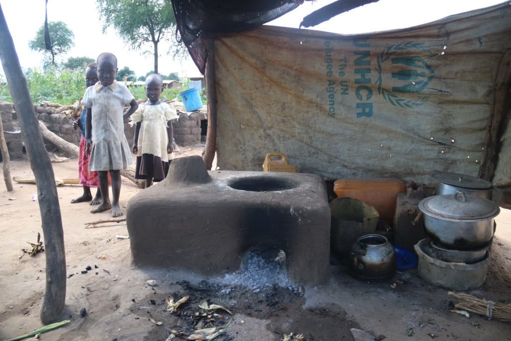 Plant 50,000 Native Trees for Refugees in Uganda