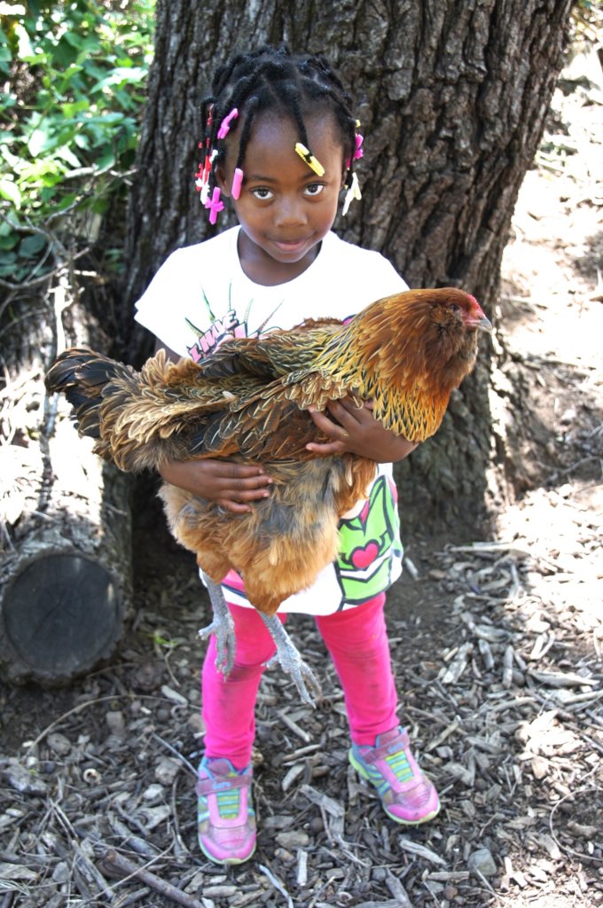 Help Us Support Foster Youth