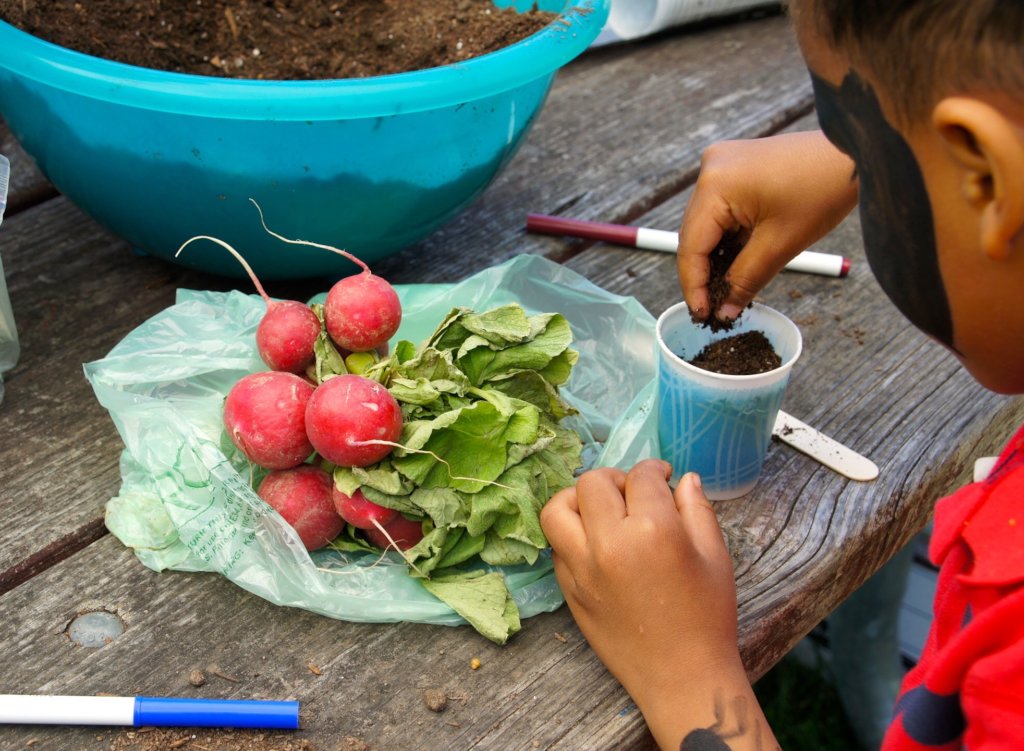 Help Us Support Foster Youth