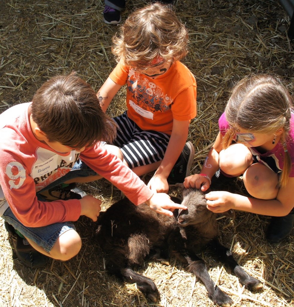 Help Us Support Foster Youth