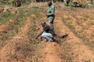 Measuring the dimensions of the land
