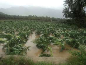 Farm Fields are completely destroyed