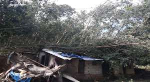 Houses of tribal communities have been damaged