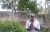 Temple Forest Conservation in India