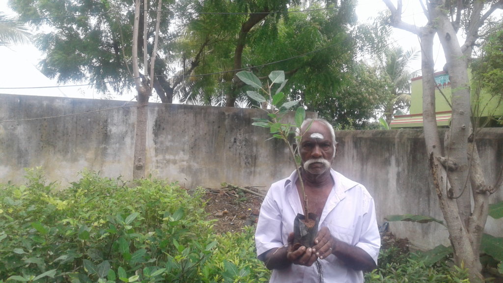 Temple Forest Conservation in India