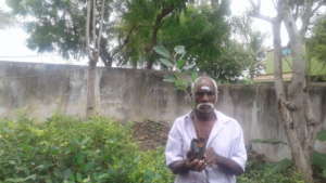 Temple Forest Conservation in India