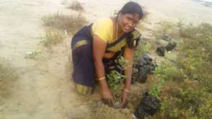 Wetland Mangroves plantation and conservation