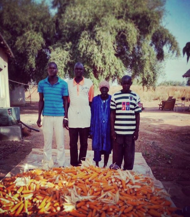 Chickens against unemployment and malnutrition