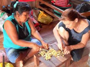 Carolina and Nina cutting Ginger root for medicine