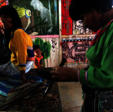 Woman peeling bark for making medicine