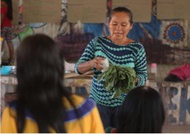 Emergency Health Fund for the Shipibo people