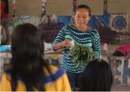 Medicinal Plant Workshop