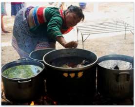 Preparation of medicinal plants