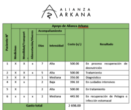 Table of expenses per patient