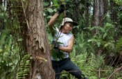 Restore & Protect Hawaii's Native Lowland Forest