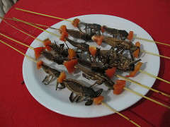 Water bug brochette!