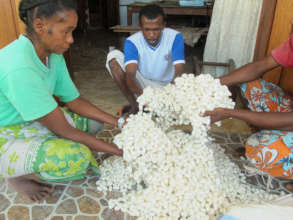 Cocoons arriving from Antananarivo faremers