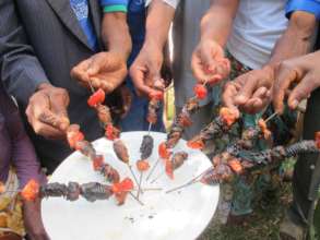 Insect shish kabob