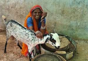 Women Smiling By getting the Goat