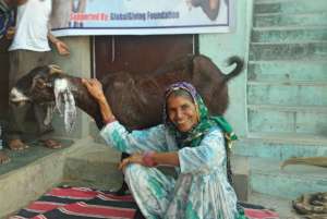Empowering Rural Women's with Goat Rearing !!