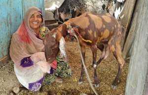 Women Smiling By getting the Goat