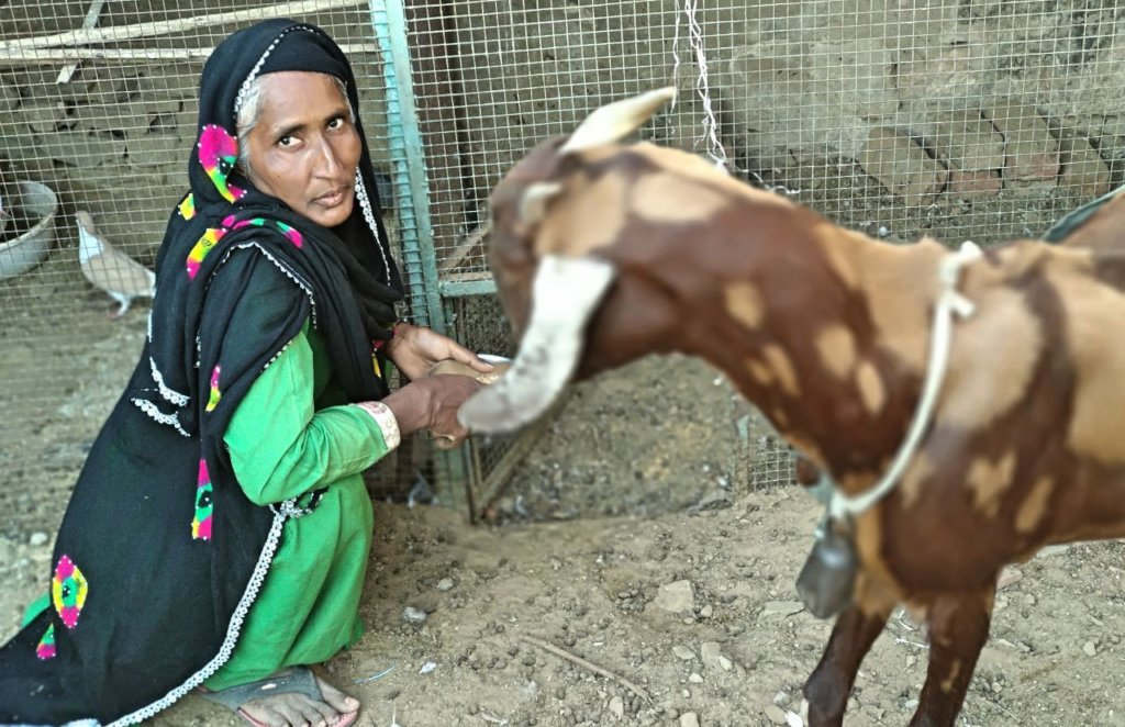 Give A Goat to A Poor Rural Women