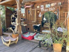 Big Area - Big House