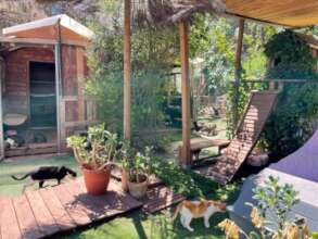 Big Area - Small House