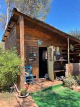 Zen Garden - Leukemia