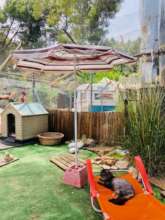 Senor Wilson just chillin