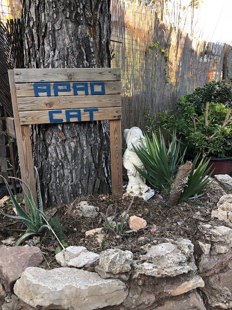 Support No Kill Cat Sanctuary