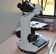 microscope