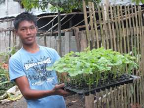 Continue providing vegetable seeds and seedlings